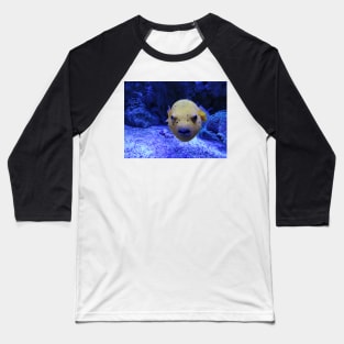 Angry puffer fish Baseball T-Shirt